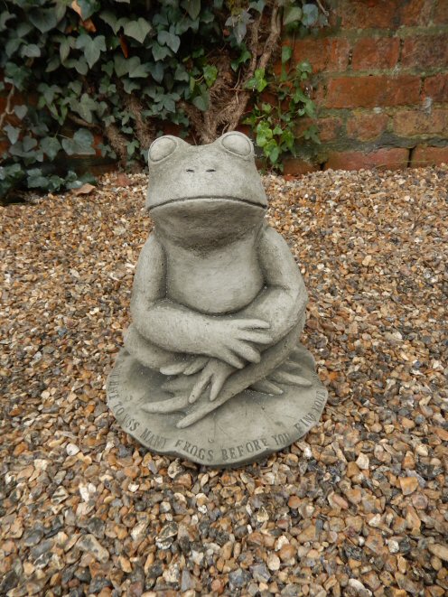 KA229 Frog Prince
